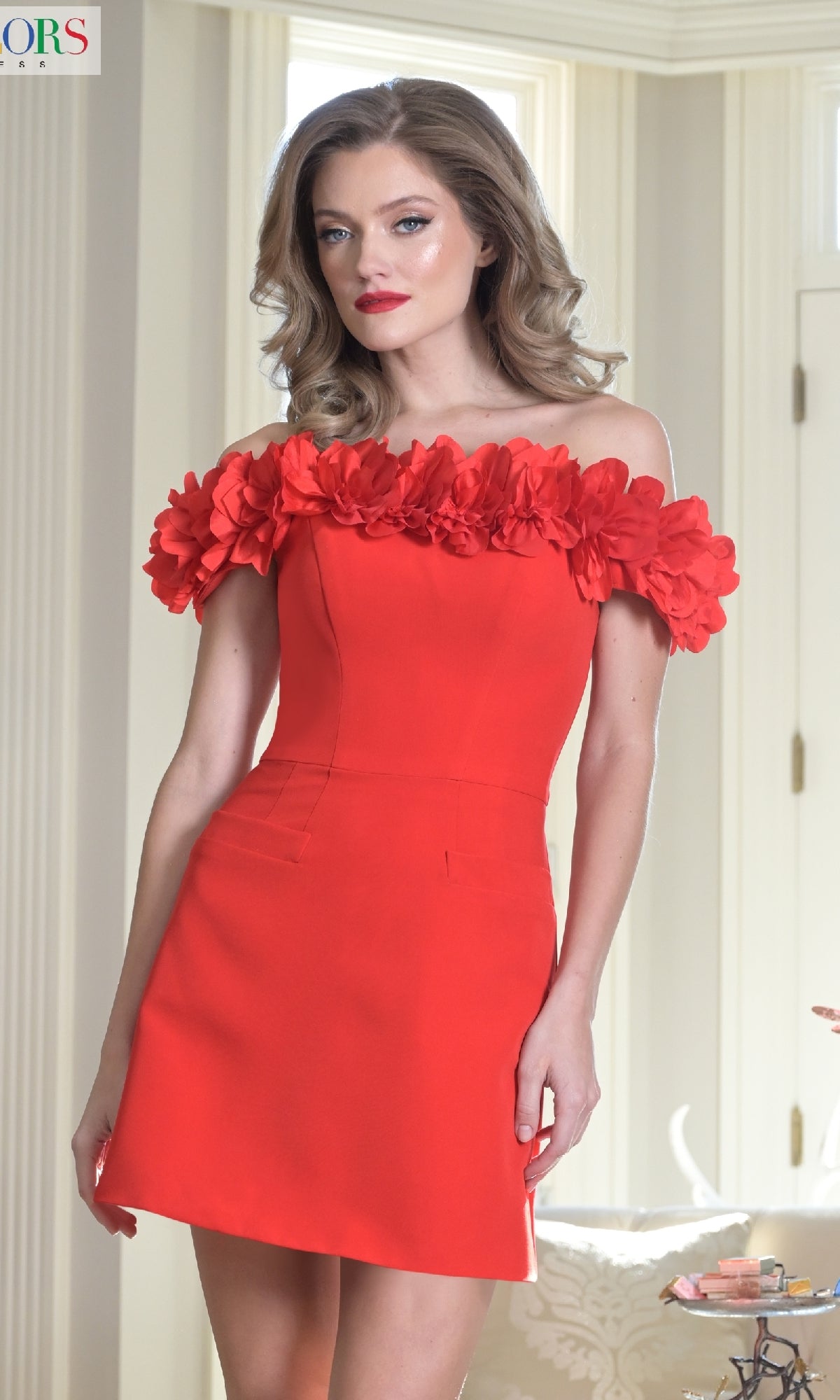 A woman stands indoors in front of a window wearing the Colors Dress 3679, an off-the-shoulder Faux-Pocket Short Hoco Dress featuring 3D floral details around the neckline for a standout party look.